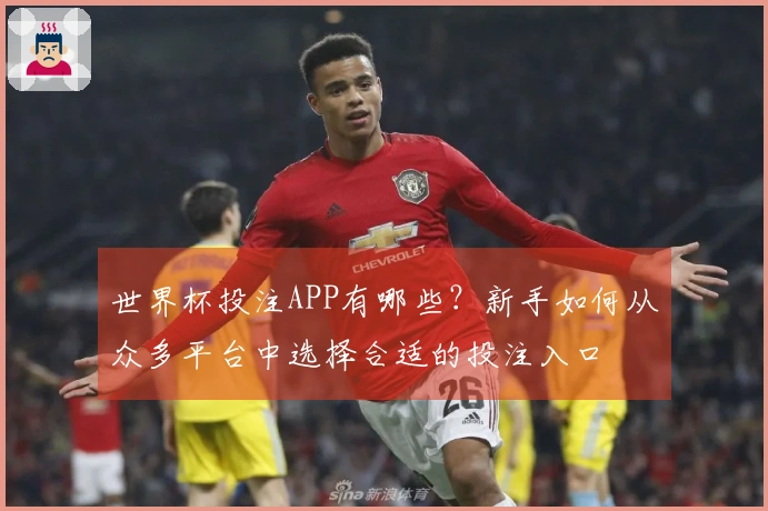 世界杯投注APP有哪些？新手如何从众多平台中选择合适的投注入口