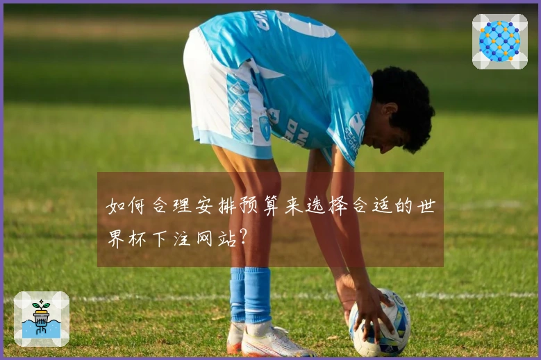 如何合理安排预算来选择合适的世界杯下注网站？