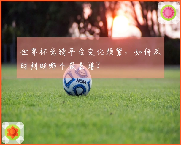 世界杯竞猜平台变化频繁，如何及时判断哪个最靠谱？