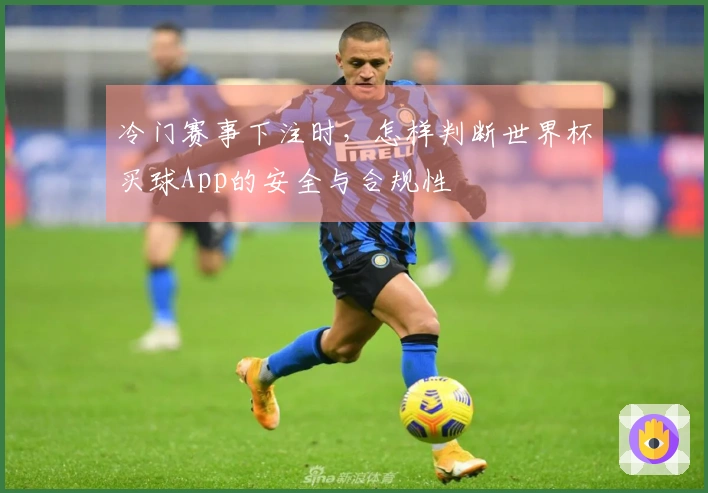 冷门赛事下注时，怎样判断世界杯买球App的安全与合规性
