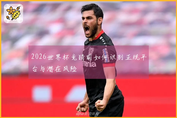2026世界杯竞猜前如何识别正规平台与潜在风险