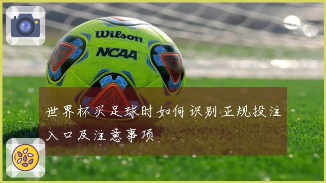 世界杯买足球时如何识别正规投注入口及注意事项