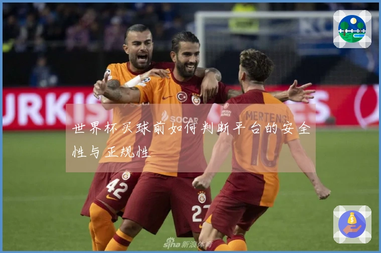 世界杯买球前如何判断平台的安全性与正规性