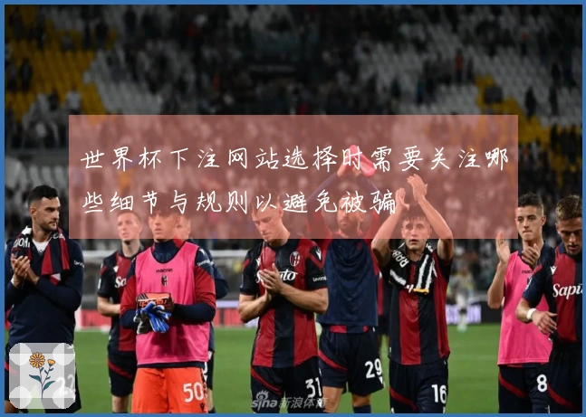 世界杯下注网站选择时需要关注哪些细节与规则以避免被骗