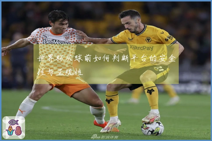 世界杯买球前如何判断平台的安全性与正规性