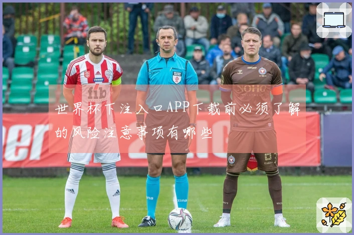 世界杯下注入口APP下载前必须了解的风险注意事项有哪些