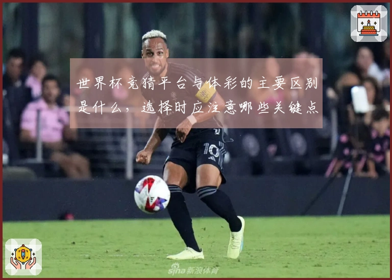 世界杯竞猜平台与体彩的主要区别是什么，选择时应注意哪些关键点？