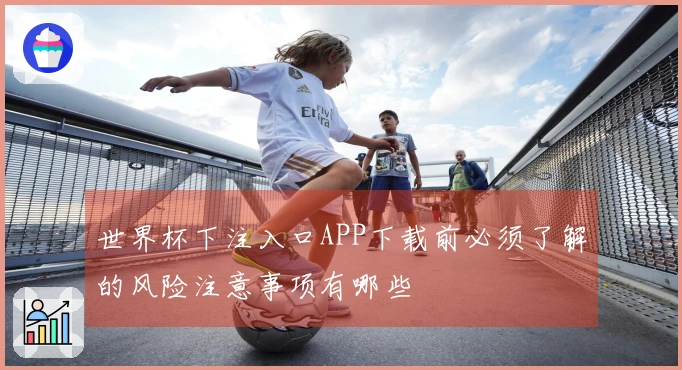 世界杯下注入口APP下载前必须了解的风险注意事项有哪些