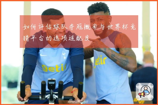 如何评估球队夺冠概率与世界杯竞猜平台的选项适配度