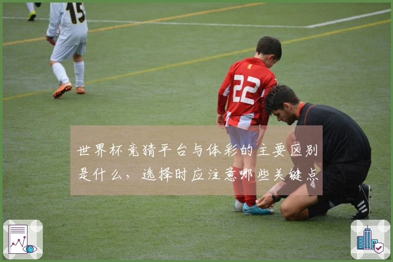 世界杯竞猜平台与体彩的主要区别是什么，选择时应注意哪些关键点？