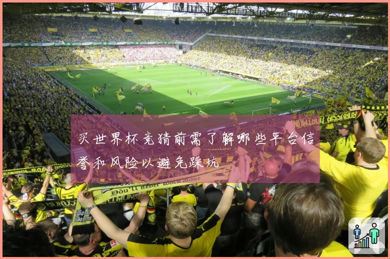 买世界杯竞猜前需了解哪些平台信誉和风险以避免踩坑