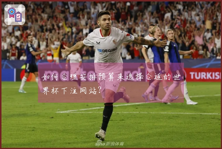 如何合理安排预算来选择合适的世界杯下注网站？