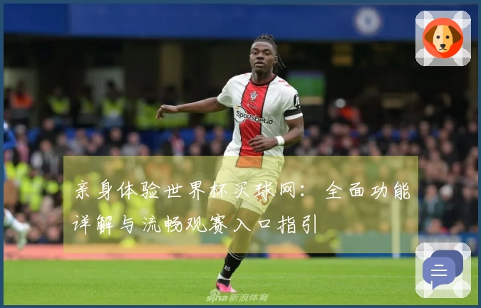 亲身体验世界杯买球网：全面功能详解与流畅观赛入口指引