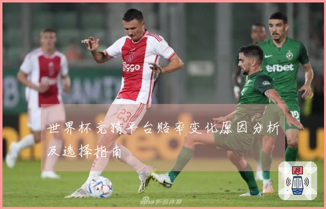 世界杯竞猜平台赔率变化原因分析及选择指南