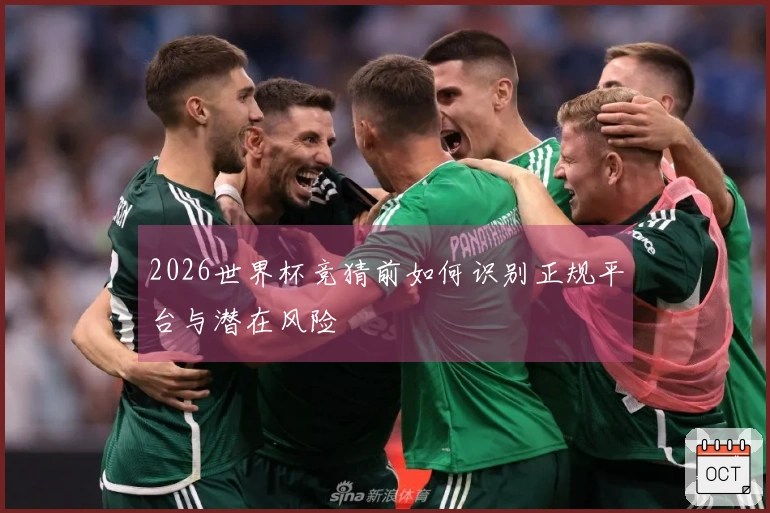 2026世界杯竞猜前如何识别正规平台与潜在风险