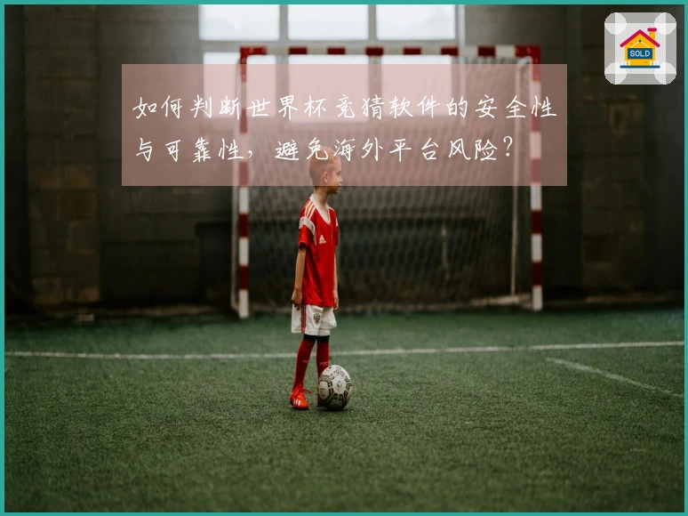 如何判断世界杯竞猜软件的安全性与可靠性，避免海外平台风险？