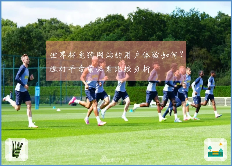 世界杯竞猜网站的用户体验如何？选对平台前必看比较分析