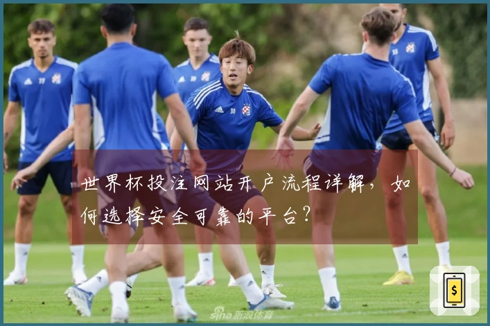 世界杯投注网站开户流程详解，如何选择安全可靠的平台？