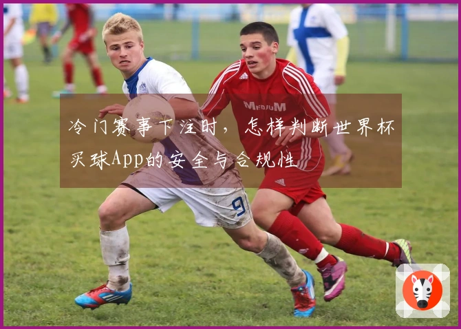 冷门赛事下注时，怎样判断世界杯买球App的安全与合规性