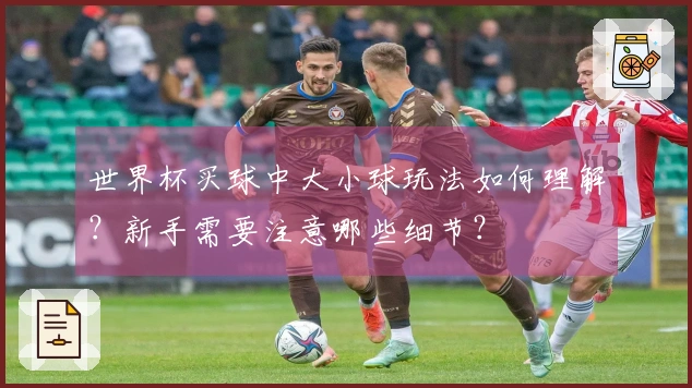 世界杯买球中大小球玩法如何理解？新手需要注意哪些细节？